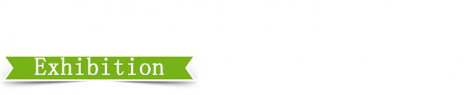 25T उच्च नियंत्रण सटीकता प्लेट वल्केनाइजिंग प्रेस 4