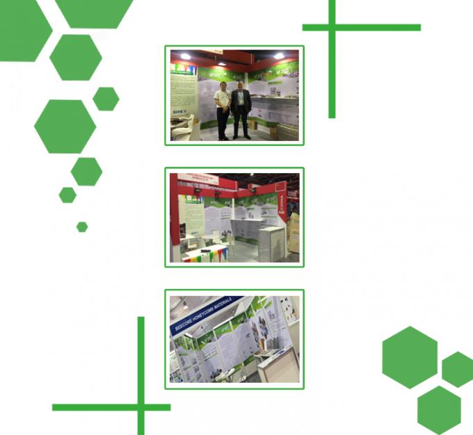 25T उच्च नियंत्रण सटीकता प्लेट वल्केनाइजिंग प्रेस 5